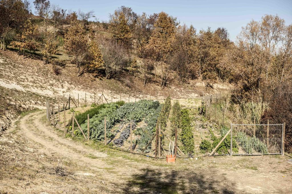 Azienda Agrituristica Alcastle Montabone Экстерьер фото